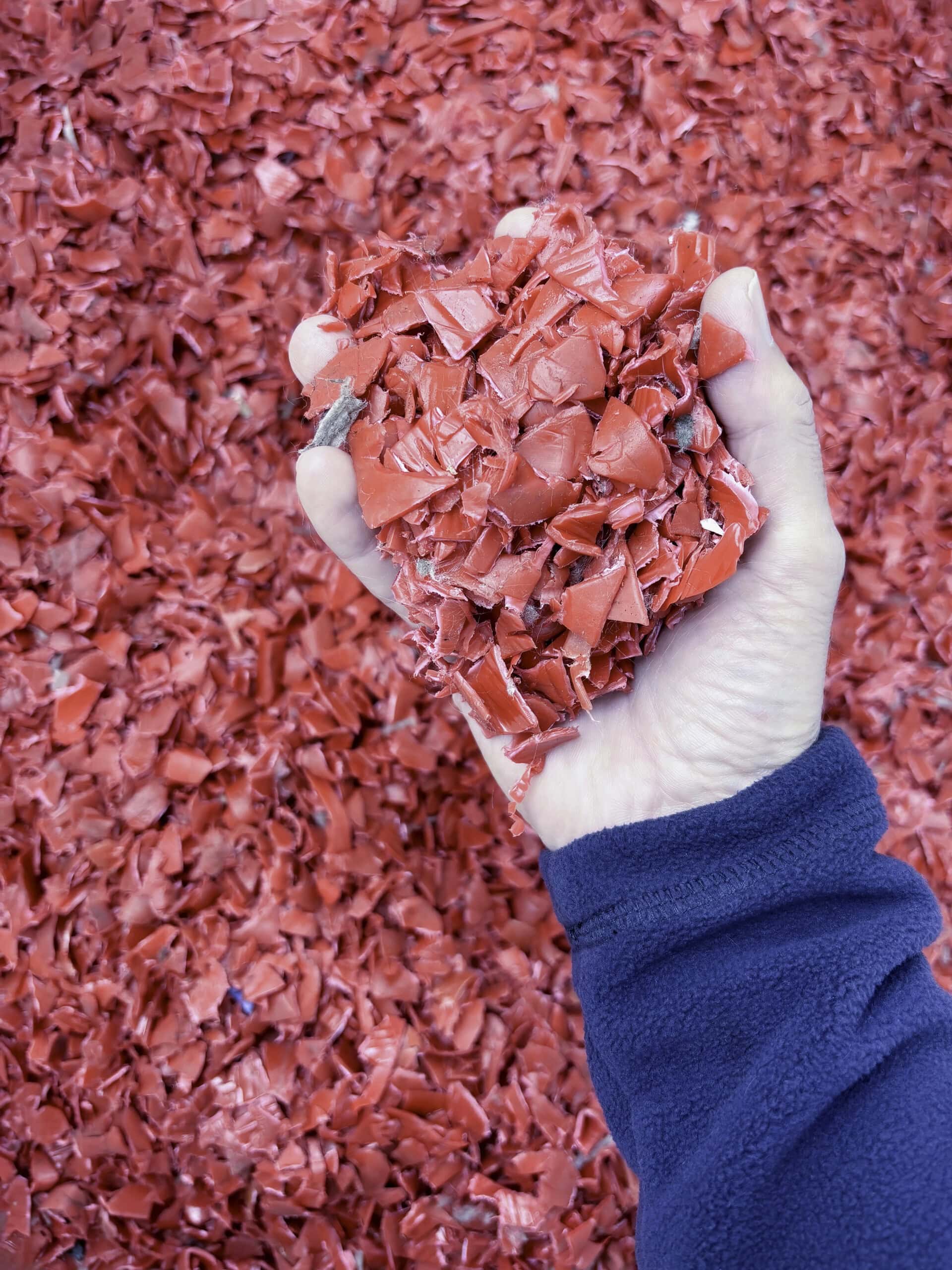 Hand holding red plastic re-grind from cable recycling. Ready to be sent for recycling.
